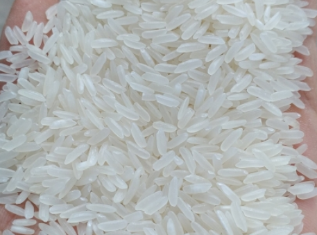 Jasmine Rice per MT